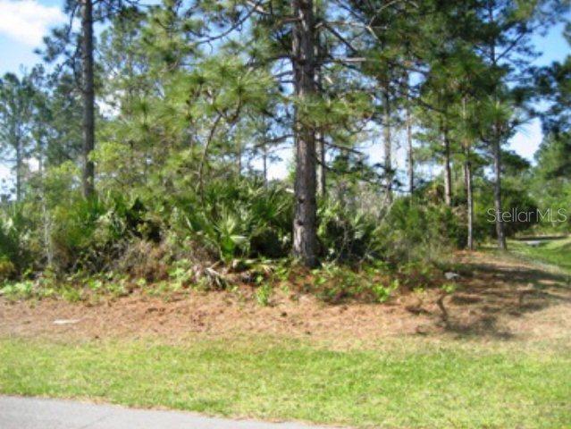 68 Pine Circle Dr., Palm Coast, FL 32164