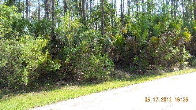 45 Pineland Ln., Palm Coast, FL 32164