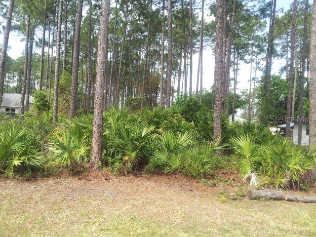 220 Boulder Rock Dr., Palm Coast, FL 32137