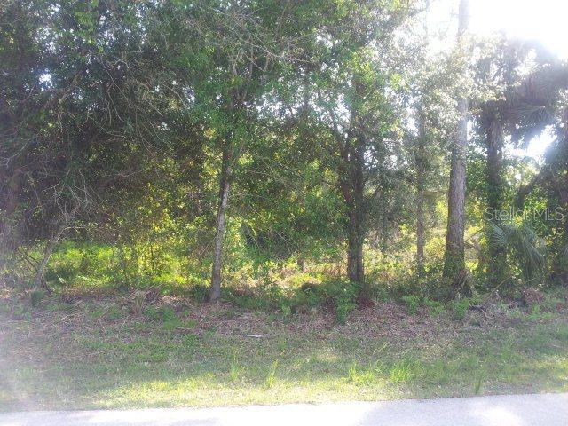 7 Bird Haven Pl., Palm Coast, FL 32137