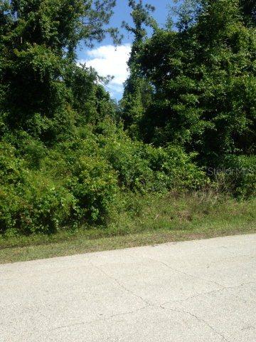 64 Zebulahs Tr., Palm Coast, FL 32164