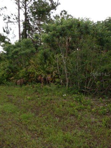 175 Plain View Dr., Palm Coast, FL 32137