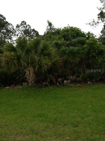 177 Plain View Dr., Palm Coast, FL 32164