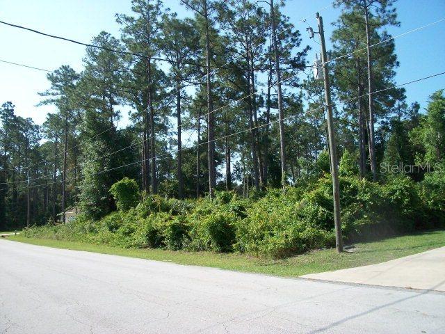 67 Ryan Dr., Palm Coast, FL 32164