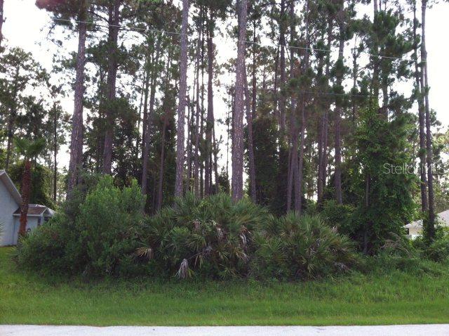 129 Burroughs Dr., Palm Coast, FL 32137