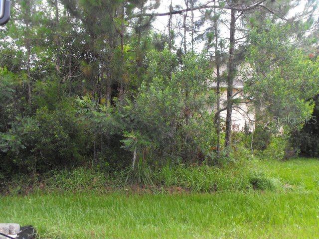 91 Westrobin Ln., Palm Coast, FL 32164