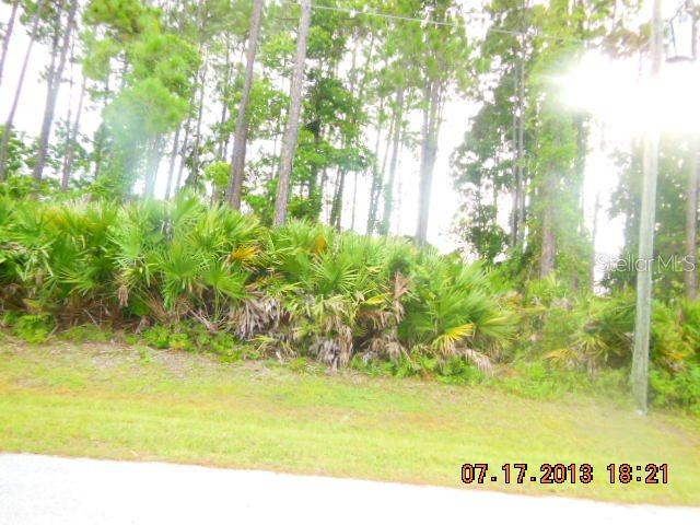 20 Birchbark Ln., Palm Coast, FL 33213