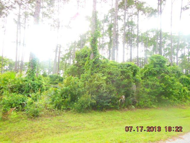 22 Birchbark Ln., Palm Coast, FL 33213