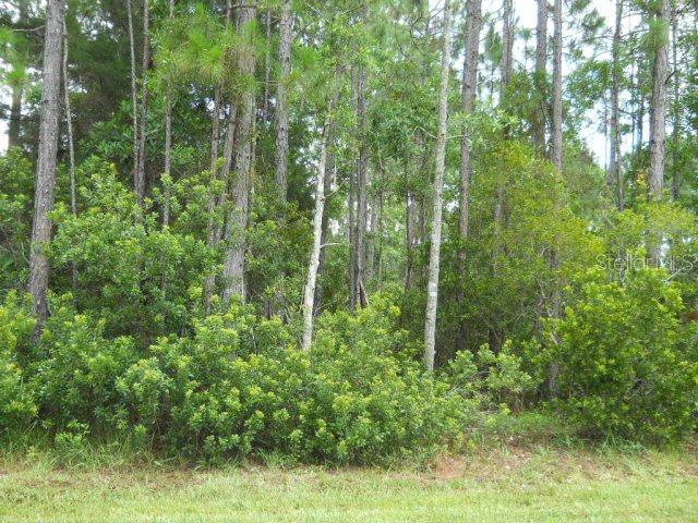 6 Larchmont Pl., Palm Coast, FL 32137