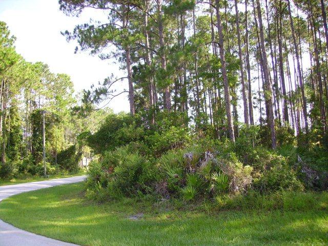 50 Eagle Harbor Tr., Palm Coast, FL 32164