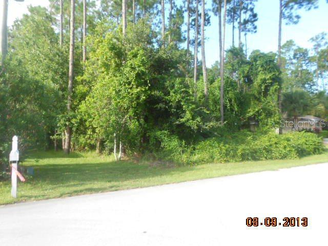 47 Ellington Dr., Palm Coast, FL 32164