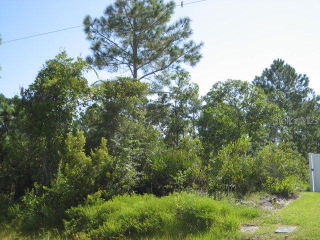 40 Wood Center Ln., Palm Coast, FL 32164