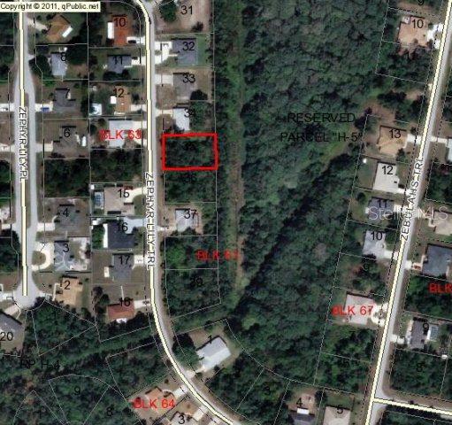 77 Zephyr Lily Tr., Palm Coast, FL 32164