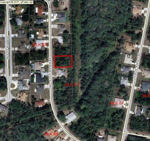 79 Zephyr Lily Tr., Palm Coast, FL 32164