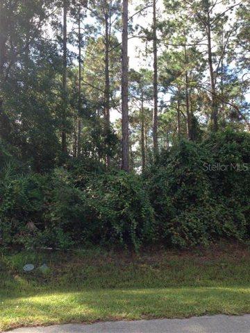 7 Essex Ln., Palm Coast, FL 32164