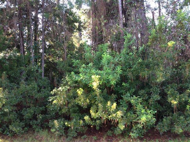 14 Ehrling Ln., Palm Coast, FL 32137