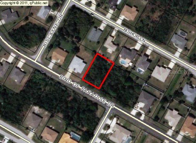 244 Bird Of Paradise Dr., Palm Coast, FL 32137