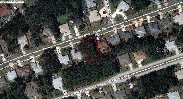 42 Bird Of Paradise Dr., Palm Coast, FL 32137