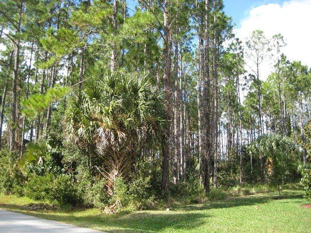 85 Fellowship Dr., Palm Coast, FL 32137