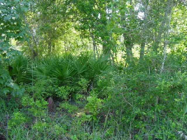 9 Ryding Ln., Palm Coast, FL 32164