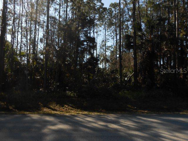 301 Westhampton Dr., Palm Coast, FL 32164