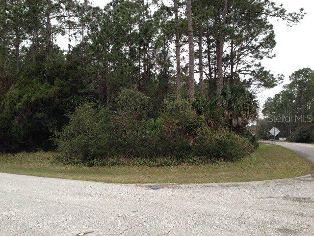 17 Wellington Dr., Palm Coast, FL 32164