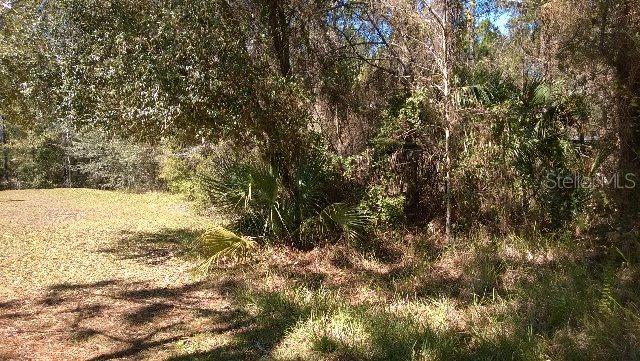 10 Wild Rose Pl., Palm Coast, FL 32164