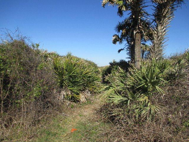 7089 N Ocean Shore Blvd., Palm Coast, FL 32137