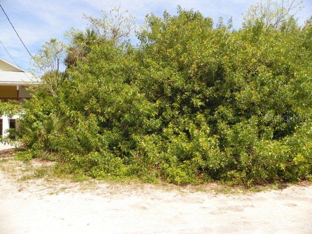 2727 John Bull St., Flagler Beach, FL 32136