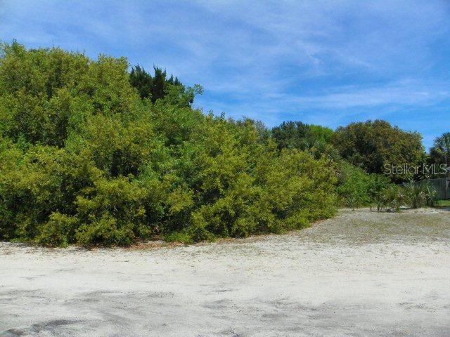 2729 John Bull St., Flagler Beach, FL 32136