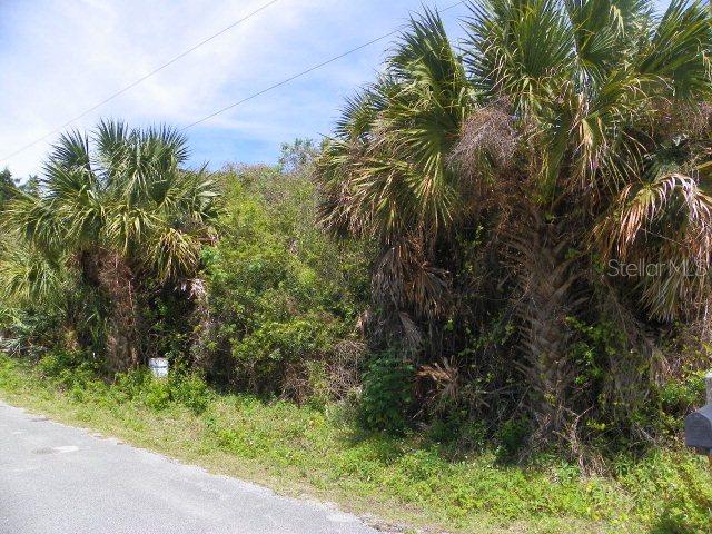 2727 S Daytona Ave., Flagler Beach, FL 32136