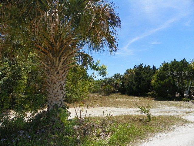 27xx No Address Assigned, Flagler Beach, FL 32136