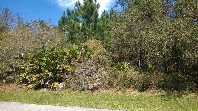 17 Fernmill Ln., Palm Coast, FL 32137