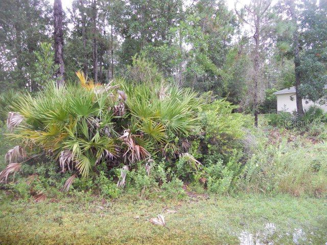 173 Ryberry Dr., Palm Coast, FL 32164