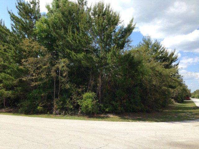 43 Fitzgerald Ln., Palm Coast, FL 32137