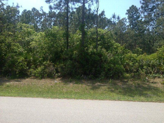 61 Karas Tr., Palm Coast, FL 32164