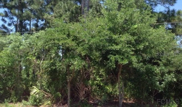 11 Wayland Pl., Palm Coast, FL 32164