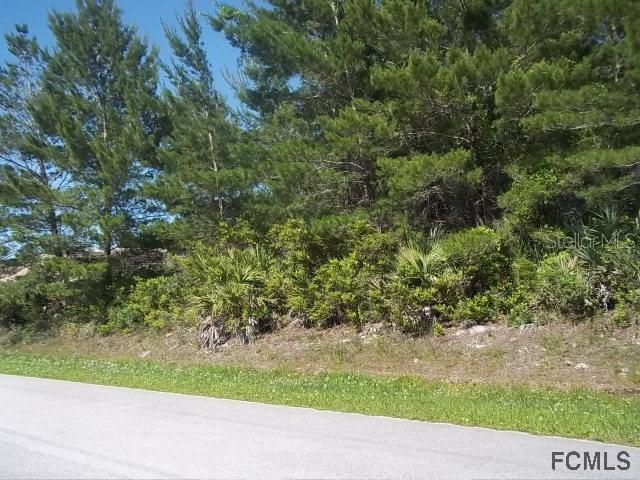 31 Fairbank Ln., Palm Coast, FL 32137