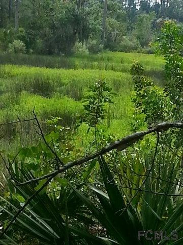 31 Cimmaron Dr., Palm Coast, FL 32137