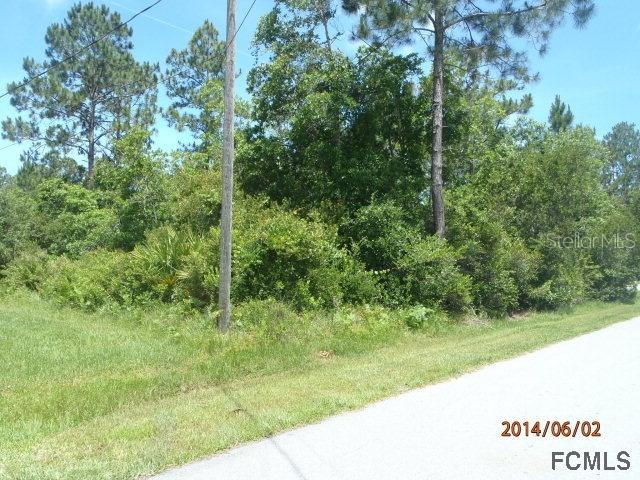 [Address Hidden by Seller], Palm Coast, FL 32137