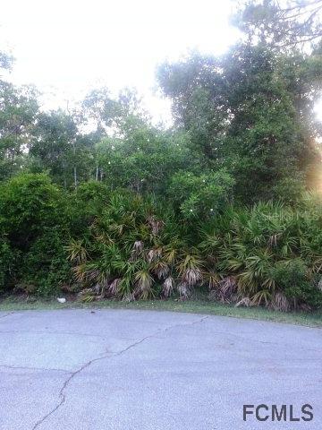 4 Roxton Pl., Palm Coast, FL 32164