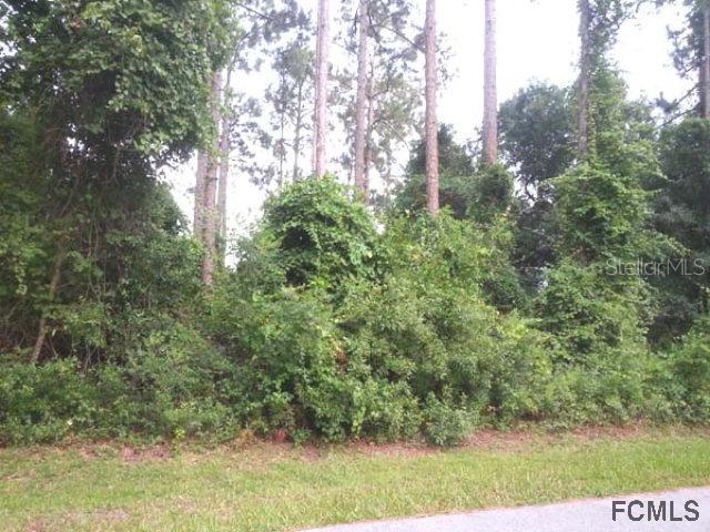 64 Bruce Ln., Palm Coast, FL 32137