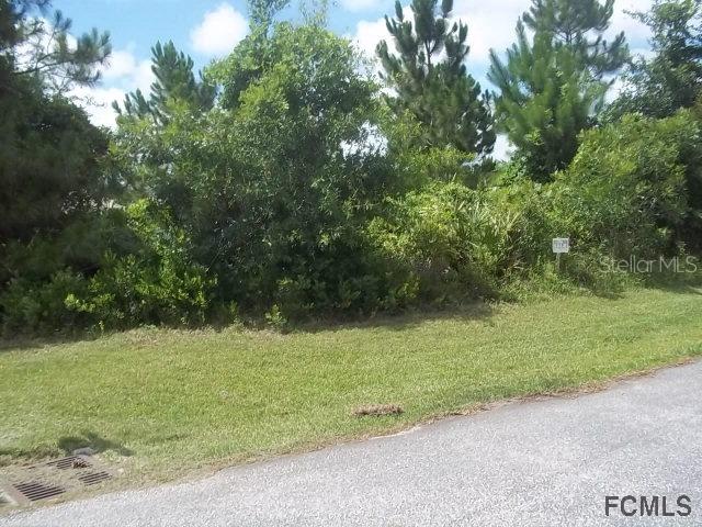 56 Firethorn Ln., Palm Coast, FL 32137