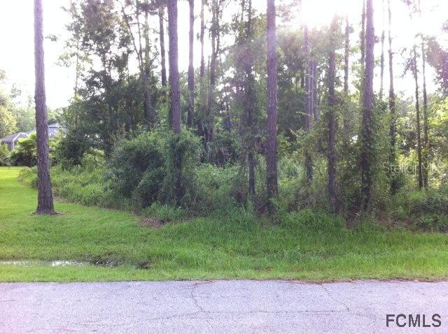 [Address Hidden by Seller], Palm Coast, FL 32137