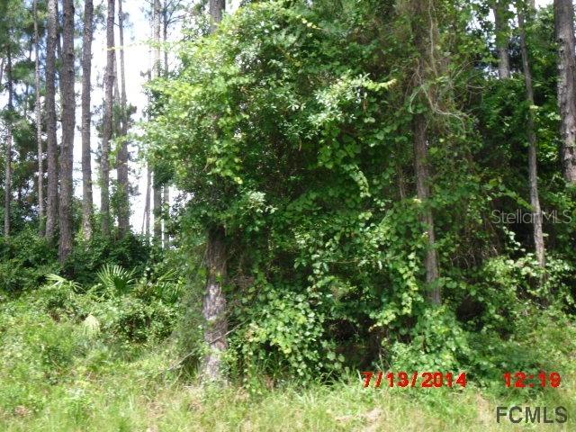 22 Edith Ln., Palm Coast, FL 32164