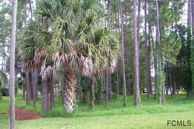 21 Wellside Ln., Palm Coast, FL 32164