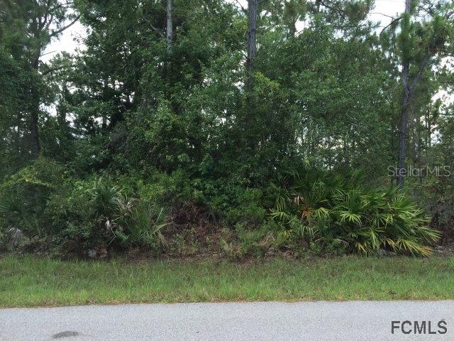 11 Pheasant Dr., Palm Coast, FL 32164