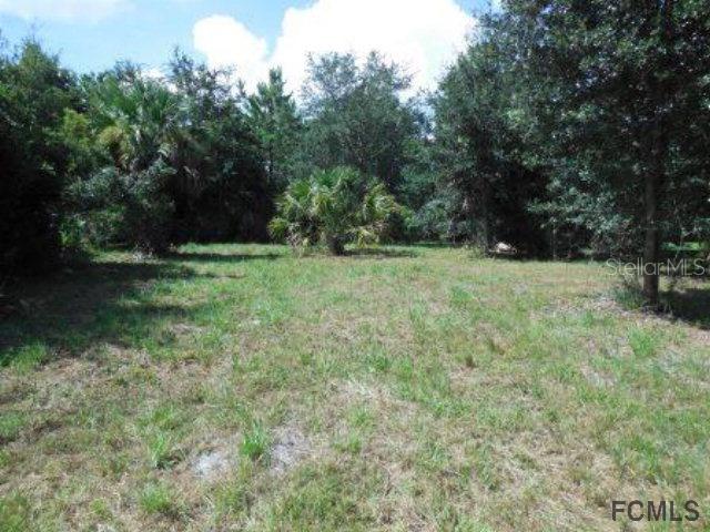 161 Birchwood Dr., Palm Coast, FL 32137