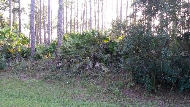 102 Edward Dr., Palm Coast, FL 32164