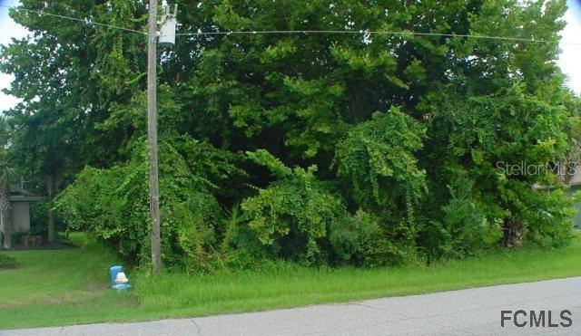 63 Flemingwood Ln., Palm Coast, FL 32137